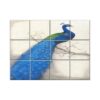 Peacock Wall Tiles #001 - Ceramic, Digital Wall Tiles