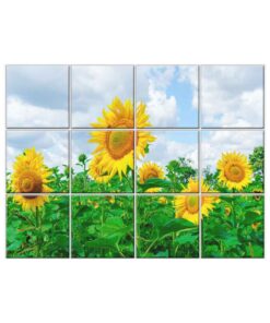 Sunflower Tile Mural  #002 - Ceramic, Digital Wall Tiles