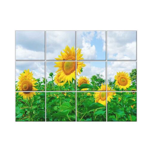 Sunflower Tile Mural  #002 - Ceramic, Digital Wall Tiles