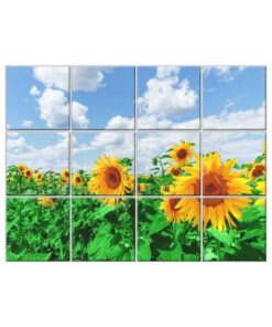 Sunflower Tile Mural  #003 - Ceramic, Digital Wall Tiles