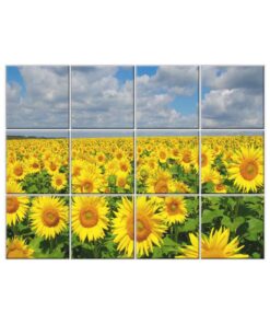 Sunflower Tile Mural  #004 - Ceramic, Digital Wall Tiles