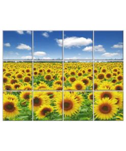 Sunflower Tile Mural  #005 - Ceramic, Digital Wall Tiles