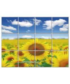 Sunflower Tile Mural  #007 - Ceramic, Digital Wall Tiles