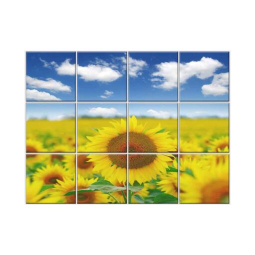 Sunflower Tile Mural  #007 - Ceramic, Digital Wall Tiles