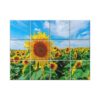 Sunflower Tile Mural  #008 - Ceramic, Digital Wall Tiles