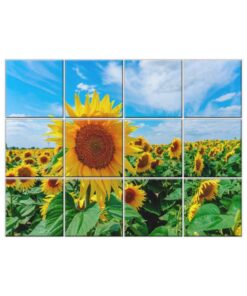 Sunflower Tile Mural  #008 - Ceramic, Digital Wall Tiles