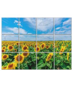 Sunflower Tile Mural  #009 - Ceramic, Digital Wall Tiles