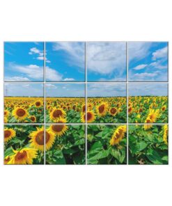Sunflower Tile Mural  #010 - Ceramic, Digital Wall Tiles