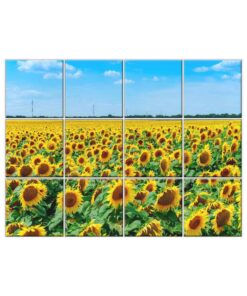 Sunflower Tile Mural  #011 - Ceramic, Digital Wall Tiles