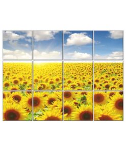 Sunflower Tile Mural  #012 - Ceramic, Digital Wall Tiles