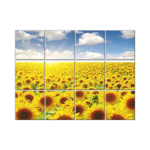 Sunflower Tile Mural  #012 - Ceramic, Digital Wall Tiles